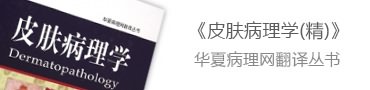 皮膚病理學（精）